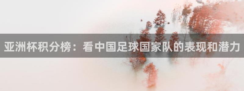 世界杯预选赛亚洲：亚洲杯积分榜：看中国足球国家队的表现和潜力