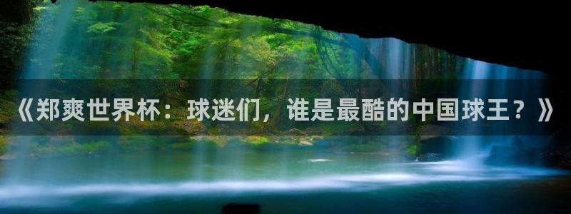 世界杯对阵表:《郑爽世界杯:球迷们,谁是最酷的中国球王?》