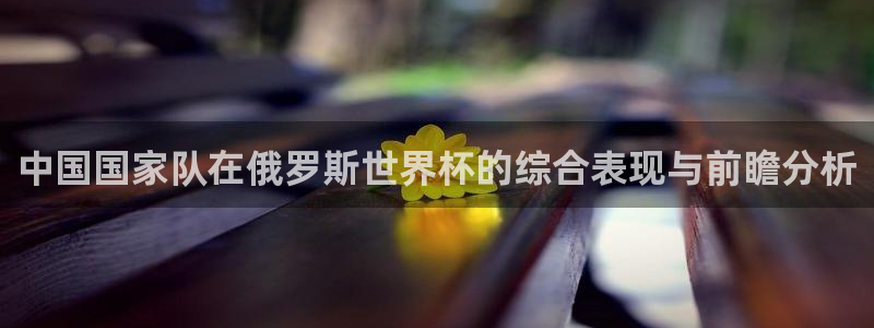 足球世界杯赛程:中国国家队在俄罗斯世界杯的综合表现与前瞻分析