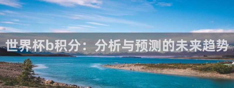 世界杯球赛：世界杯b积分：分析与预测的未来趋势