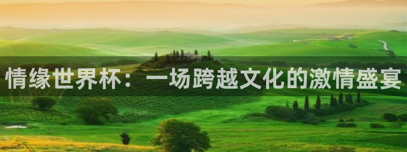 中国 世界杯：情缘世界杯：一场跨越文化的激情盛宴