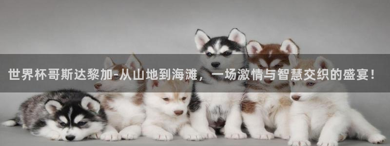 世界杯赛程表2026：世界杯哥斯达黎加-从山地到海滩，一场激情与智慧交织的盛宴！