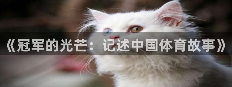 2026年世界杯赛程时间表格：《冠军的光芒：记述中国体育故事》