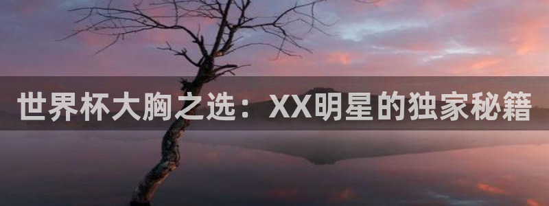 2026世预赛赛程表：世界杯大胸之选：XX明星的独家秘籍