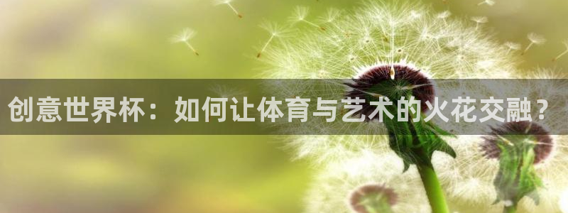 法国杯2026赛程表：创意世界杯：如何让体育与艺术的火花交融？