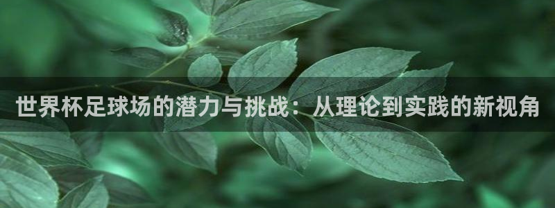 世界杯欧洲区预选赛：世界杯足球场的潜力与挑战：从理论到实践的新视角