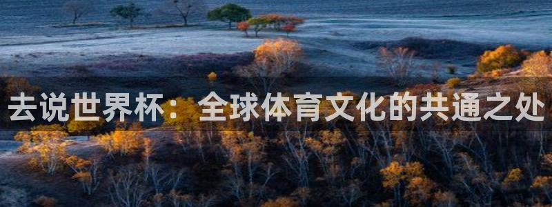 世界杯足球赛2026赛程时间：去说世界杯：全球体育文化的共通之处