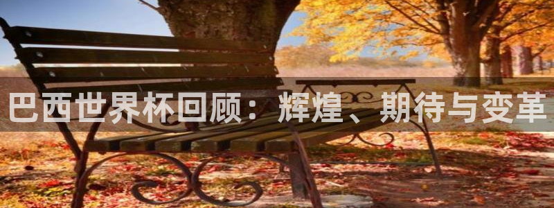 女足世界杯直播在线观看免费高清：巴西世界杯回顾：辉煌、期待与变革