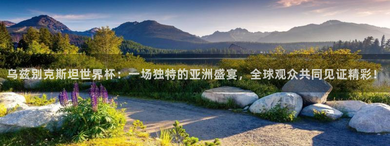 世界杯2026赛程：乌兹别克斯坦世界杯：一场独特的亚洲盛宴，全球观众共同见证精彩！