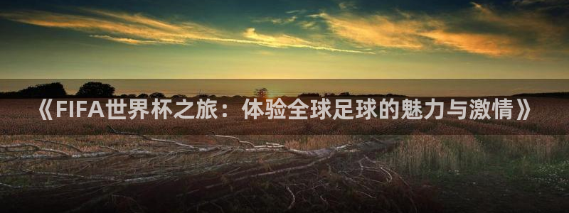 2026年世界杯直播平台:《FIFA世界杯之旅:体验全球足球的魅力与激情》