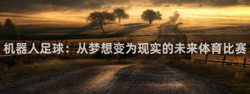2026年世界杯对阵图：机器人足球：从梦想变为现实的未来体育比赛