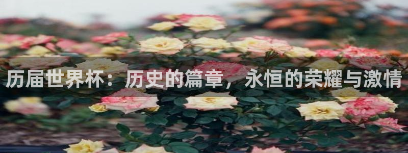世界杯今日赛程直播：历届世界杯：历史的篇章，永恒的荣耀与激情