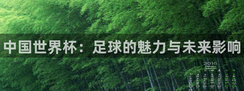 2006年世界杯：中国世界杯：足球的魅力与未来影响