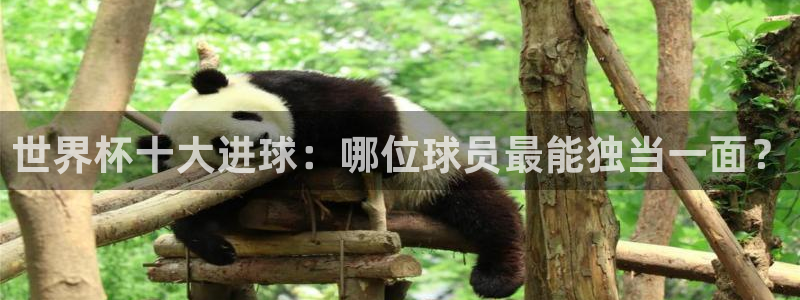 世界杯预选赛：世界杯十大进球：哪位球员最能独当一面？