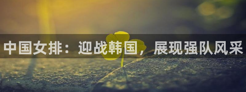 2026年世界杯赛程：中国女排：迎战韩国，展现强队风采